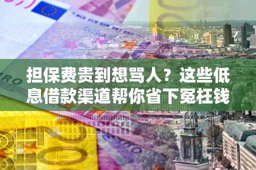 济南担保费贵到想骂人？这些低息借款渠道帮你省下冤枉钱