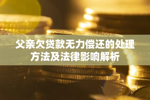 济南父亲欠贷款无力偿还的处理方法及法律影响解析